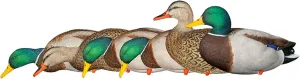 Avian-X AXP Full Body Mallards Decoy with Durable Materials, Wind Activated Motion System, and 6 True to Life Postures