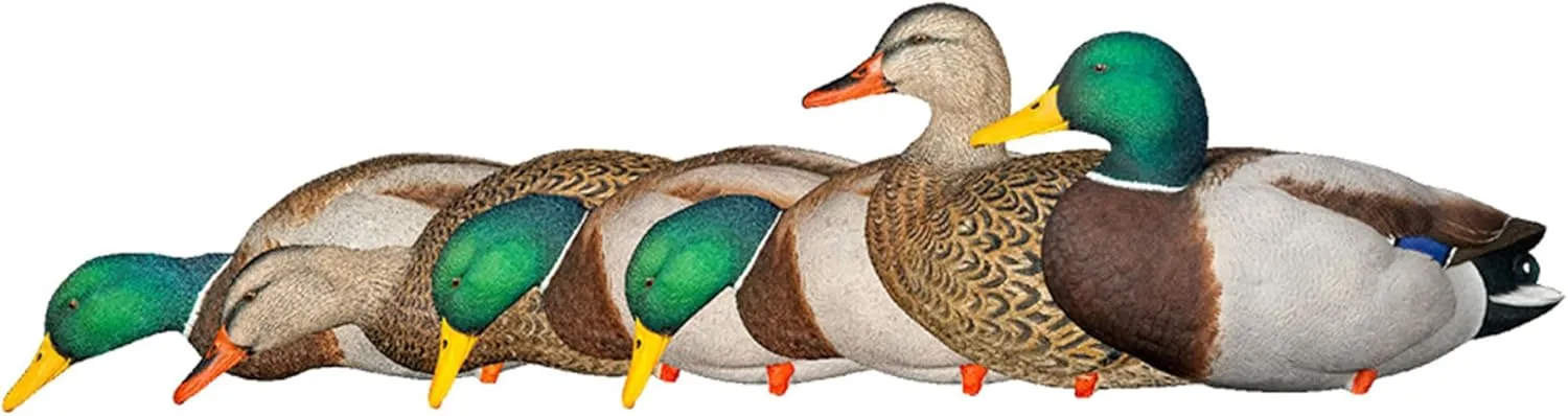 Avian-X AXP Full Body Mallards Decoy with Durable Materials, Wind Activated Motion System, and 6 True to Life Postures