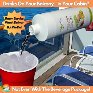 Fake Shampoo & Conditioner Bottles Hidden Liquor Alcohol Flask Kit For Cruise Booze Bags Leakproof Rum Runners For Cruise