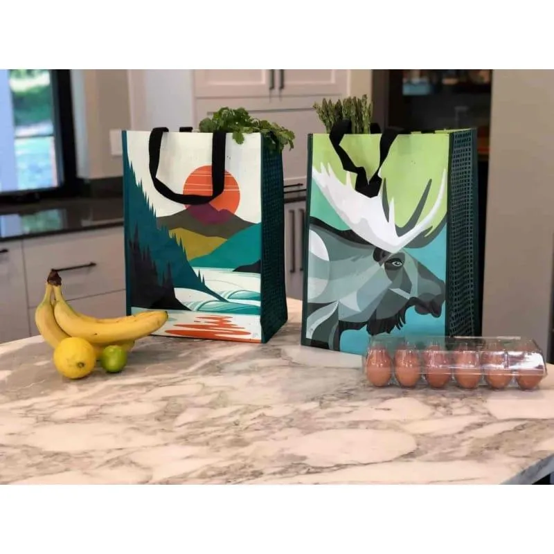 Foremost Reusable Multi-Purpose Bag