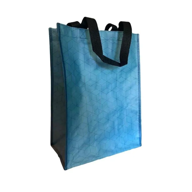 Foremost Reusable Multi-Purpose Bag