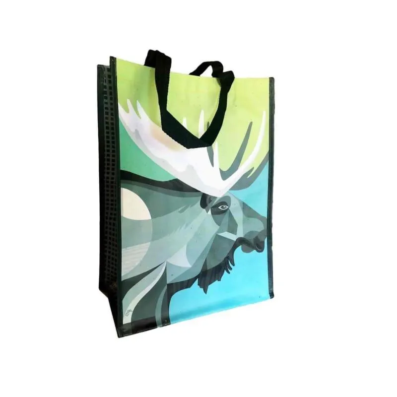 Foremost Reusable Multi-Purpose Bag
