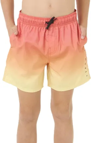 Rip Curl Boys' Fade Volley Boardshorts